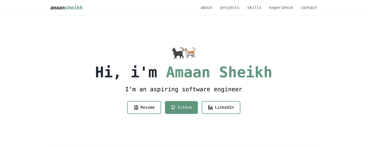 Portfolio Website